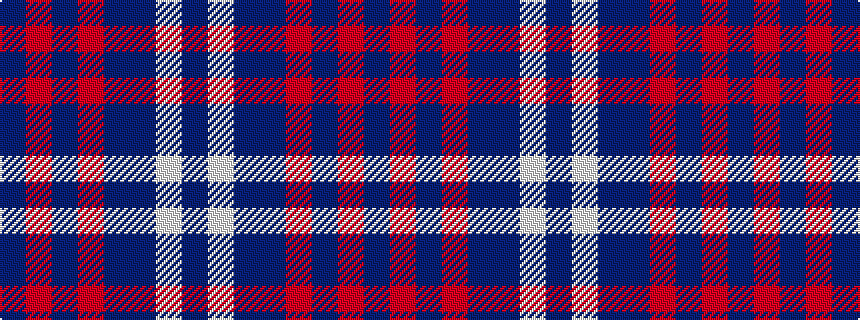 idealised woven sample of pattern BRBRBBWB