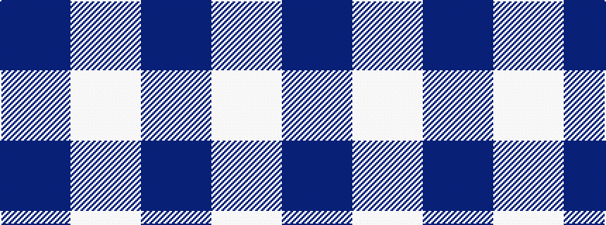 idealised woven sample of pattern BW