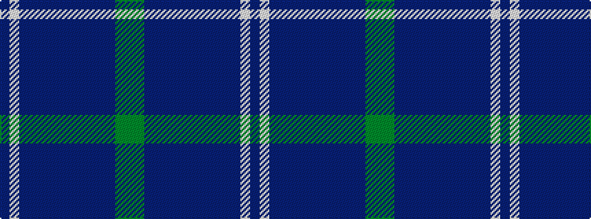 idealised woven sample of pattern BWBBBBBBBBBBGG