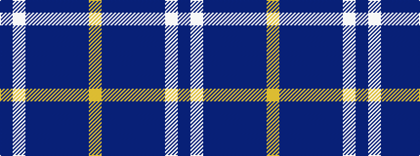 idealised woven sample of pattern BWBBBBBY