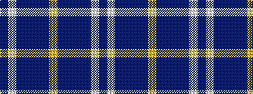 idealised woven sample of pattern BWBBBBY