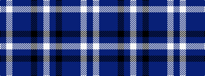 idealised woven sample of pattern BWBBBKBW