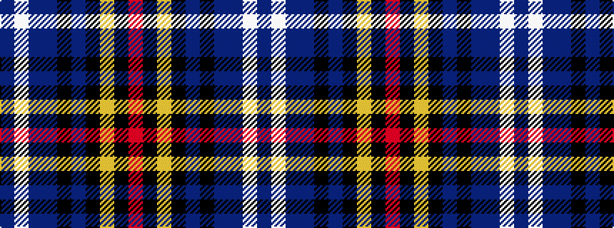 idealised woven sample of pattern BWBBKBKYKR