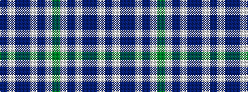 idealised woven sample of pattern BWBBWBWG