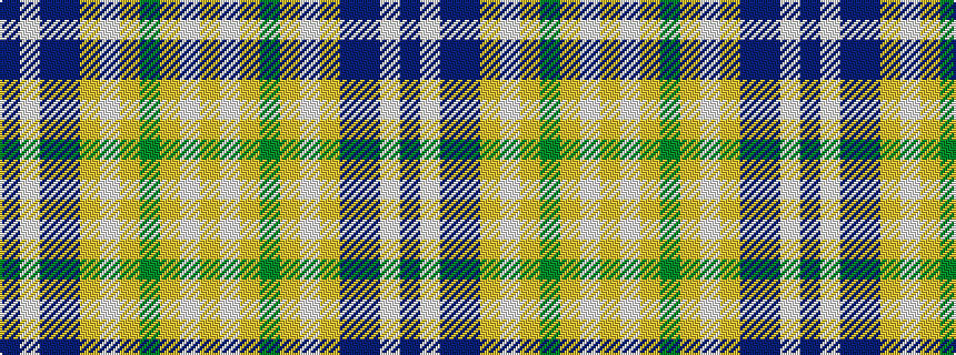 idealised woven sample of pattern BWBBYWYGYWY