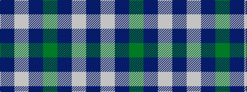 idealised woven sample of pattern BWBG