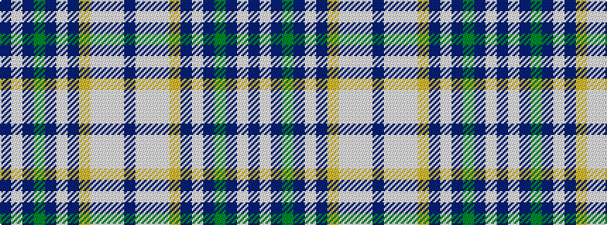 idealised woven sample of pattern BWBGBWBYWWWB