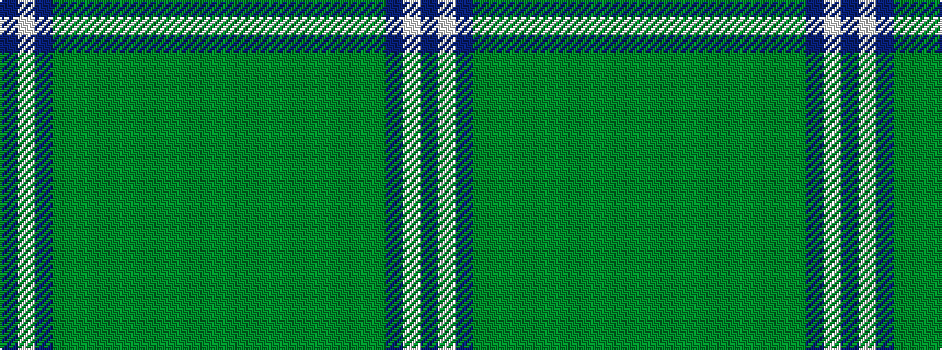 idealised woven sample of pattern BWBGGGGGGGGGG