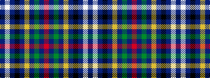 idealised woven sample of pattern BWBKBYBGBR