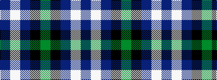 idealised woven sample of pattern BWBKG