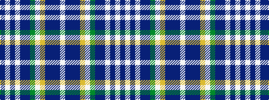 idealised woven sample of pattern BWBWBBGWYBBBW