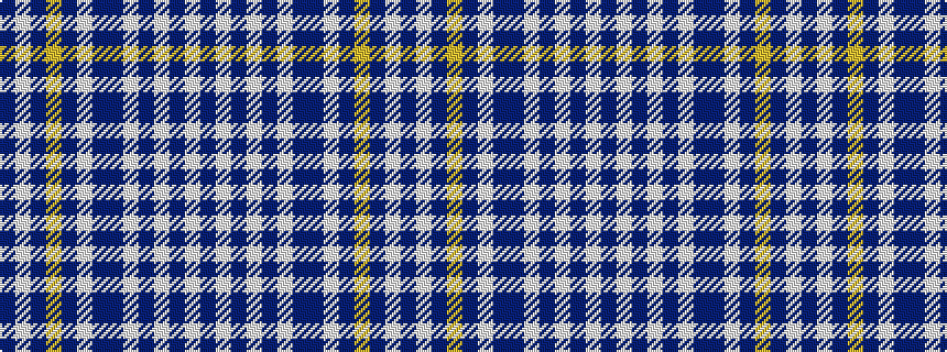 idealised woven sample of pattern BWBWBWBBWBYBWB