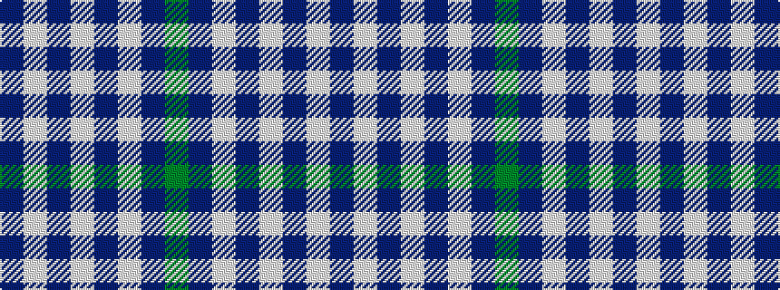 idealised woven sample of pattern BWBWBWBG