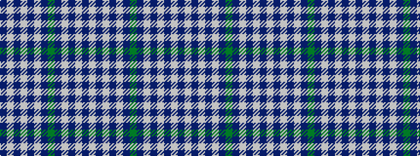 idealised woven sample of pattern BWBWBWBGBWBWBW