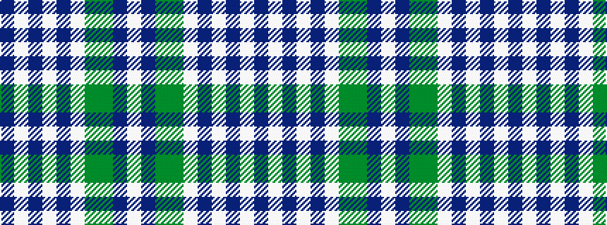 idealised woven sample of pattern BWBWBWGGBW