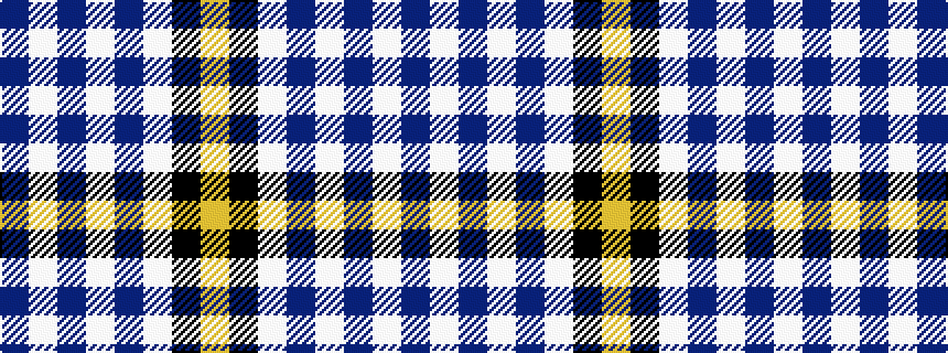 idealised woven sample of pattern BWBWBWKY