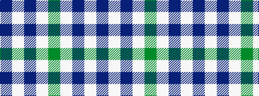 idealised woven sample of pattern BWBWG
