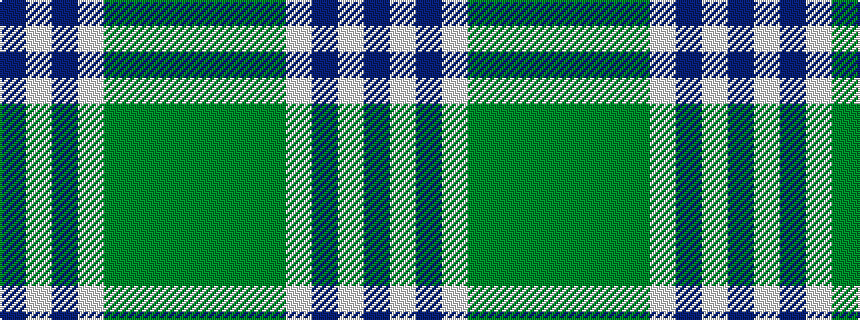 idealised woven sample of pattern BWBWGGGG