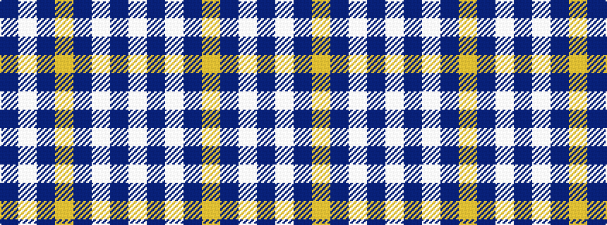 idealised woven sample of pattern BWBYBWBW