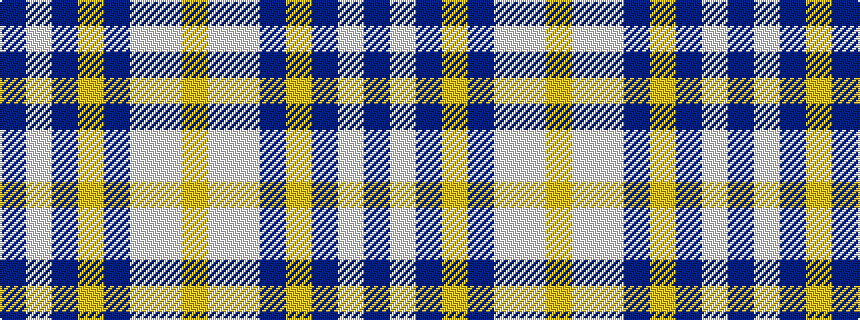 idealised woven sample of pattern BWBYBWWY