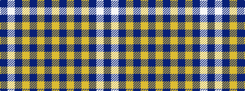 idealised woven sample of pattern BWBYBYBY