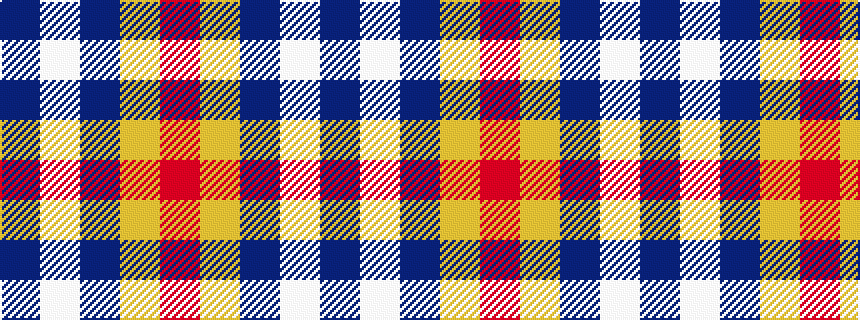 idealised woven sample of pattern BWBYR