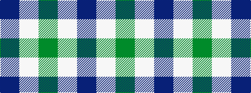 idealised woven sample of pattern BWG