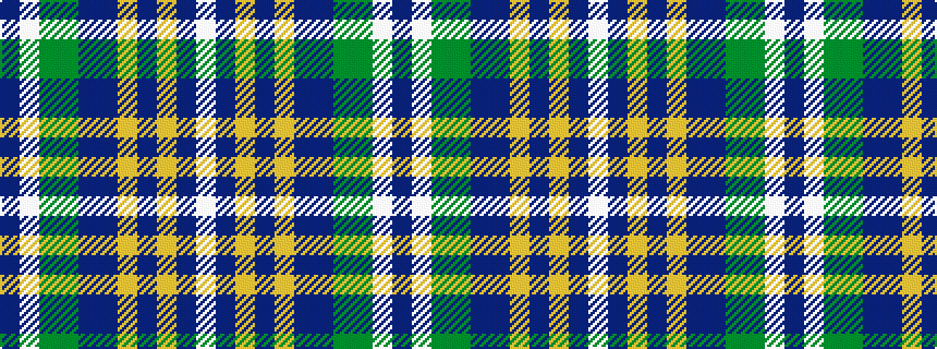 idealised woven sample of pattern BWGGBBYBYBW