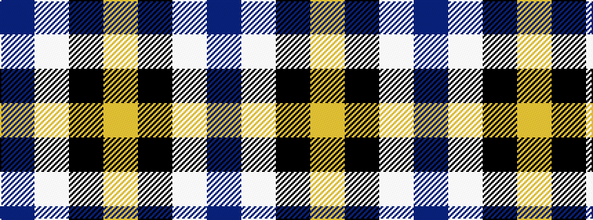 idealised woven sample of pattern BWKY