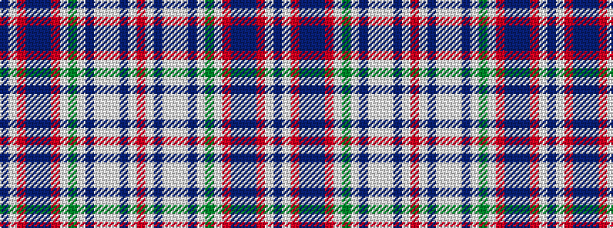 idealised woven sample of pattern BWRBBBRWGWBWWWBWR