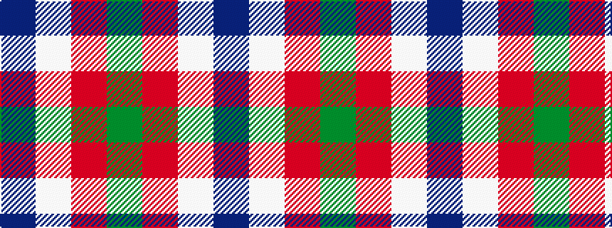 idealised woven sample of pattern BWRG