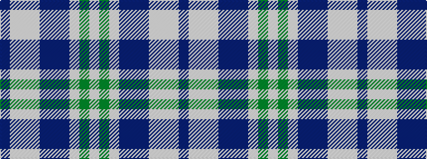 idealised woven sample of pattern BWWWBBBWGW
