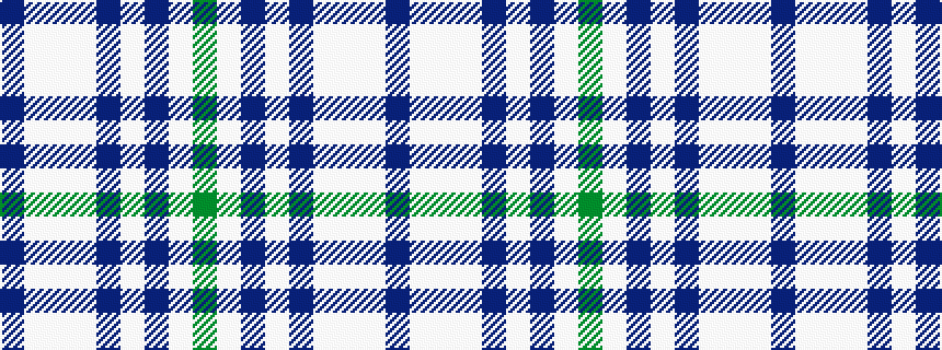 idealised woven sample of pattern BWWWBWBWG