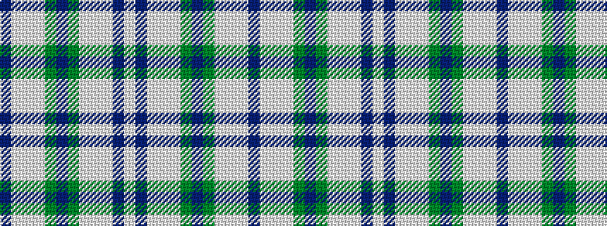 idealised woven sample of pattern BWWWGBGWWWBW