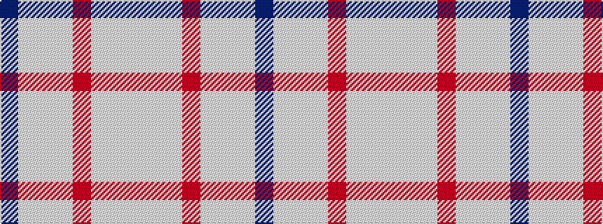 idealised woven sample of pattern BWWWRWWW