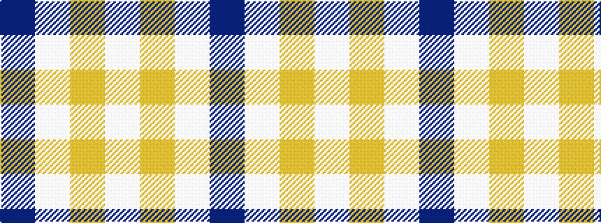 idealised woven sample of pattern BWYW