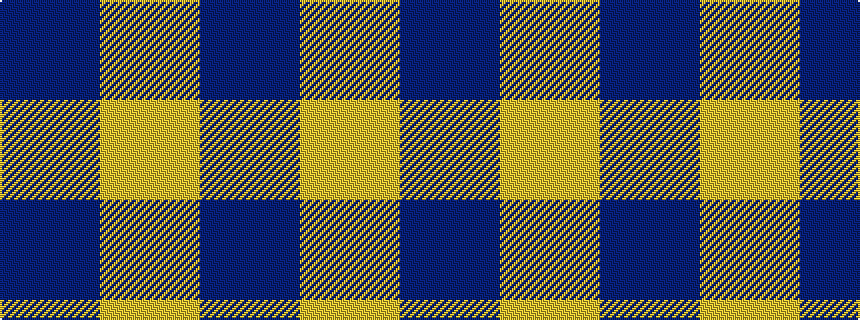 idealised woven sample of pattern BY