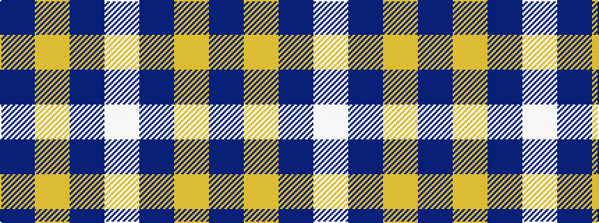 idealised woven sample of pattern BYBW