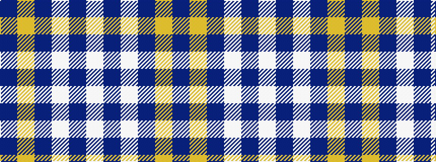 idealised woven sample of pattern BYBWBW