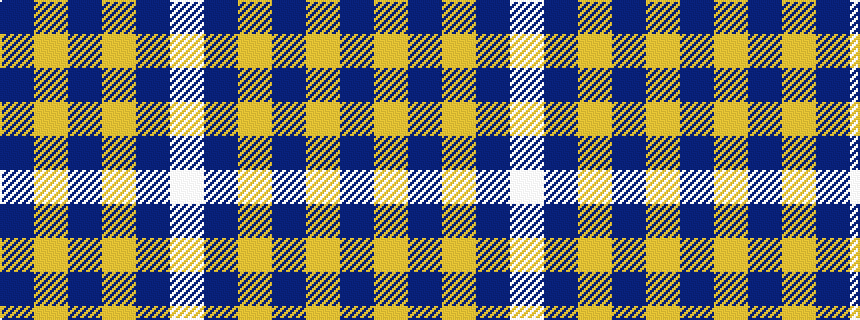 idealised woven sample of pattern BYBYBW