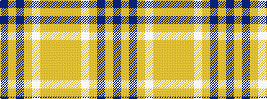 idealised woven sample of pattern BYBYWYYY