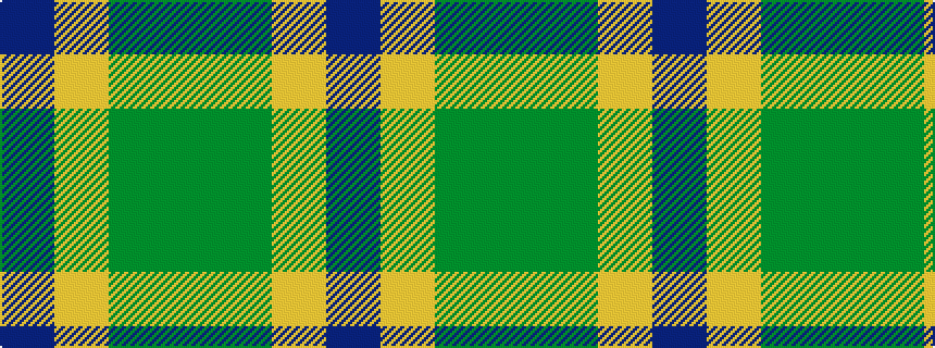 idealised woven sample of pattern BYGG