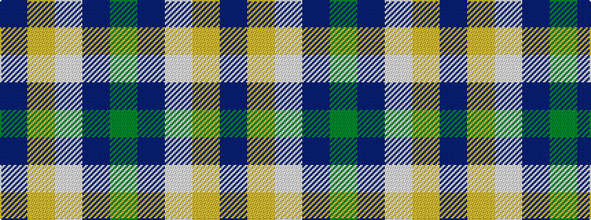 idealised woven sample of pattern BYWBG