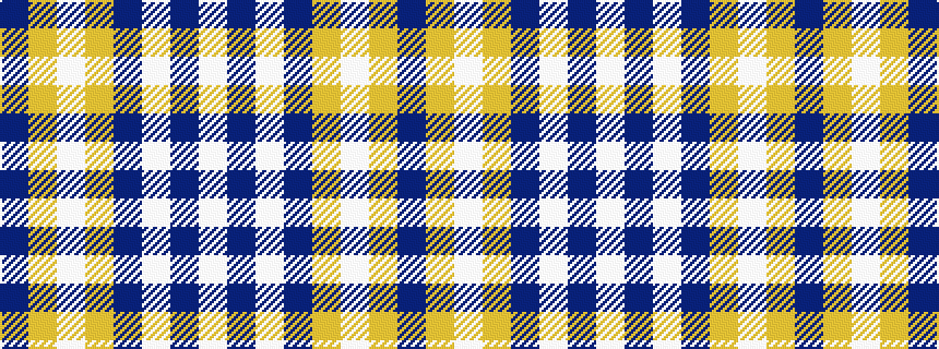 idealised woven sample of pattern BYWYBWBW