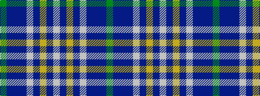 idealised woven sample of pattern GBBBWBYBW