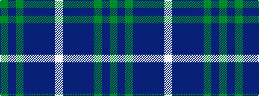 idealised woven sample of pattern GBGBBBBW
