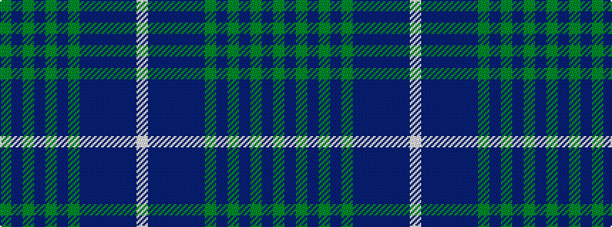 idealised woven sample of pattern GBGBGBGBBBBBW