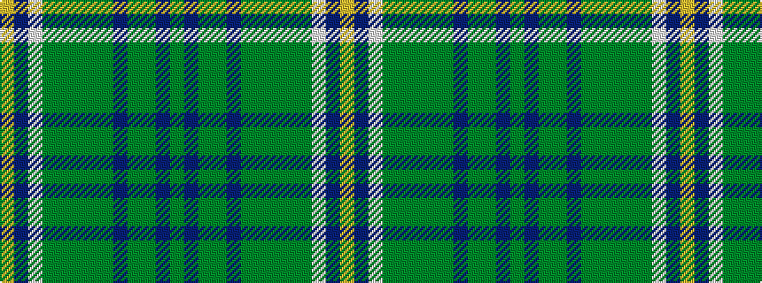 idealised woven sample of pattern GBGGBGGGGGWBY