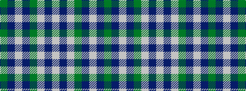 idealised woven sample of pattern GBWBGWBW