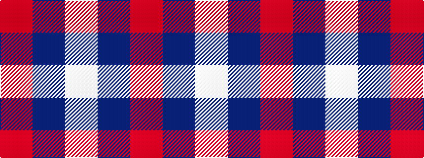 idealised woven sample of pattern RBW